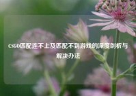 CSGO匹配连不上及匹配不到游戏的深度剖析与解决办法