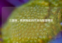 三国杀，胜利背后的代价与智慧博弈