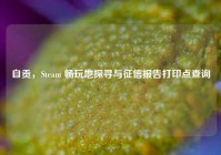 自贡，Steam 畅玩地探寻与征信报告打印点查询