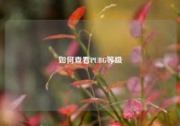 如何查看PUBG等级