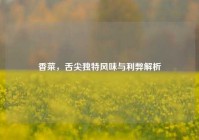 香菜，舌尖独特风味与利弊解析