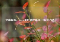 全面解析，Steam平台播放及打开DLC的     
