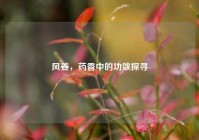风姜，药香中的功效探寻