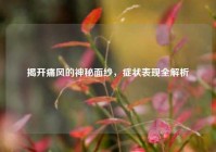 揭开痛风的神秘面纱，症状表现全解析