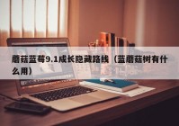 蘑菇蓝莓9.1成长隐藏路线（蓝蘑菇树有什么用）