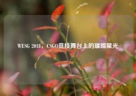 WESG 2018，CSGO竞技舞台上的璀璨星光