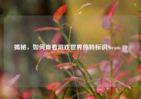 揭秘，如何查看游戏世界独特标识Steam ID