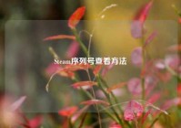 Steam序列号查看     