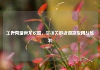 王者荣耀带龙攻略，掌控关键资源赢取团战胜利