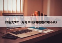 好色先生T（好先生h版电视剧改编小说）