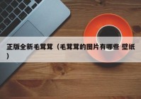 正版全新毛茸茸（毛茸茸的图片有哪些 壁纸）