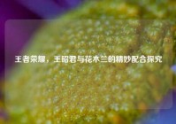 王者荣耀，王昭君与花木兰的精妙配合探究