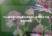 PUBG测试服与实验服区别探究，游戏优化与创新路径探寻