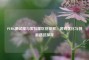 PUBG测试服与实验服区别探究，游戏优化与创新路径探寻