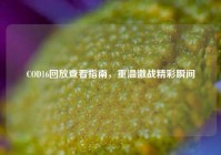 COD16回放查看指南，重温激战精彩瞬间