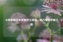 王者荣耀宫本武藏冲分秘籍，助力攀登荣耀之巅