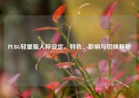 PUBG轻量版人称设定，特色、影响与切换解析