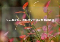 Steam好友码，虚拟社交密码及其变动疑问