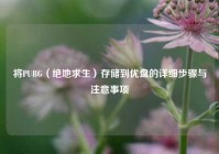 将PUBG（绝地求生）存储到优盘的详细步骤与注意事项