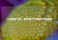 CSGO黑皮干员，独特魅力与竞技风采展现