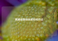 胃肠感冒的快速应对     