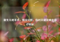 新生儿呛羊水，情况分析、应对关键及肺炎治疗时长