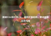揭秘PUBG粉红色CDK，福利还是陷阱，兼谈蝴蝶结双马尾