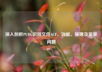 深入剖析PUBG识别文件ACF，功能、原理及常见问题