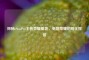 探秘eStarPro王者荣耀基地，电竞荣耀的孵化摇篮