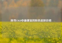 探寻CSGO中更便宜的粉色皮肤价格