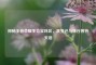 探秘王者荣耀生命宝珠区，其变迁与峡谷独特天地
