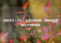 绝地求生（PUBG）语音切换攻略，实现畅爽沟通与快速换频道