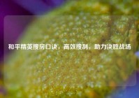 和平精英搜房口诀，高效搜刮，助力决胜战场