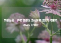 单腿站立，开启健康生活的简易钥匙与闭眼单腿站立的益处