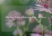 The Sweet Threat of Halloween: Trick - or - Treat