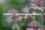 深度解析LOL，最全天赋加点图与强攻效果助力战力飞升