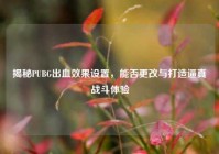 揭秘PUBG出血效果设置，能否更改与打造逼真战斗体验