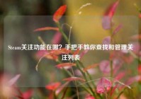 Steam关注功能在哪？手把手教你查找和管理关注列表
