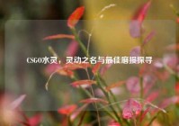 CSGO水灵，灵动之名与更佳磨损探寻