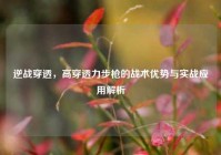 逆战穿透，高穿透力步枪的战术优势与实战应用解析