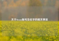 关于Steam账号及名字的相关事宜