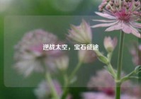 逆战太空，宝石征途