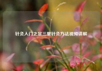 针灸入门之足三里针灸     视频讲解