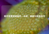揭开孝素神秘面纱，本质、真相与味道探寻