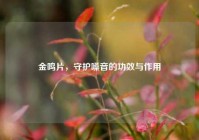金鸣片，守护嗓音的功效与作用
