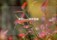 他的Steam退款风波