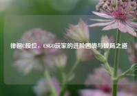徘徊C段位，CSGO玩家的进阶困境与破局之道