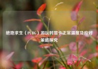 绝地求生（PUBG）游玩时显卡正常温度及应对策略探究