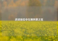 逆战排位中左侧风景之览