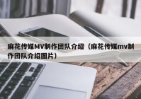 麻花传媒MV制作团队介绍（麻花传媒mv制作团队介绍图片）